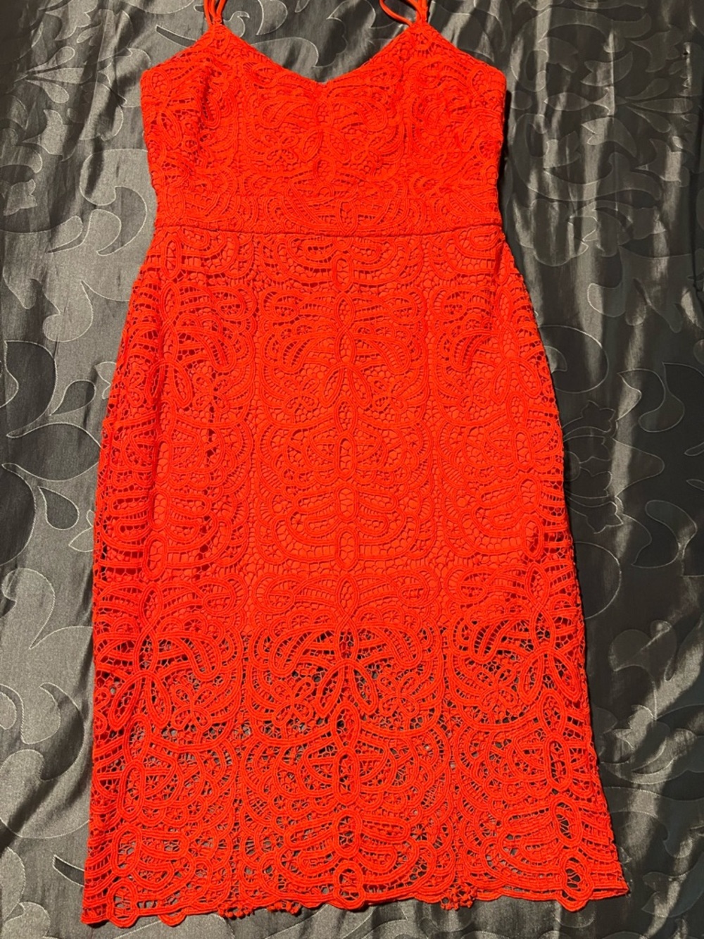 Bisou Bisou Orange All-Over Lace Cocktail Dress Spaghetti Straps 14